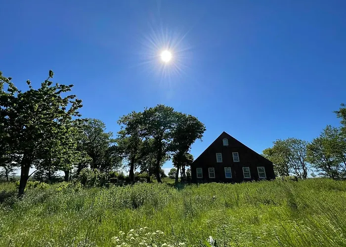 Gulfhof Dreybült Dreybült 2 Aiko Daire *